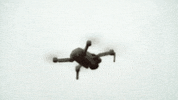 Huntedau GIF by Hunted Australia