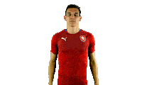 Czech Republic Ceskarepre Sticker by 2score