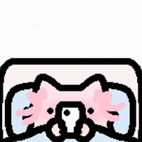 Spainnubcat GIF