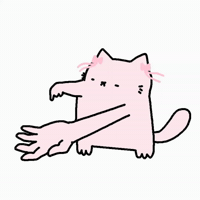 Spainnubcat GIF