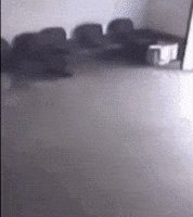 Bike Crash GIF