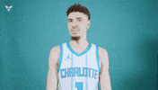 Hive Mentality Lamelo Ball GIF by Charlotte Hornets