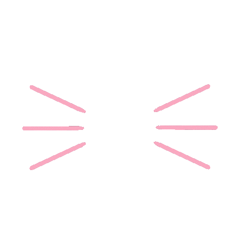 Pink Line Sticker by HeySimply