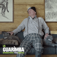 Sad Cat GIF by La Guarimba Film Festival