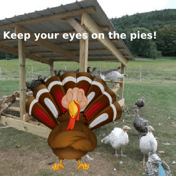 Fall Autumn GIF