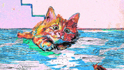 happy cat GIF by Ghostqiao