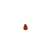 Fall Mushroom Sticker