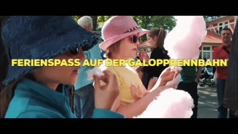 galoppdresden giphygifmaker pferddig GIF