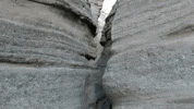 new mexico GIF