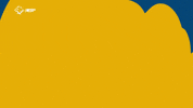 Ucam Murcia Cf Goal GIF by UCAM Universidad