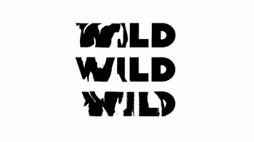 wild love mv GIF by James Bay