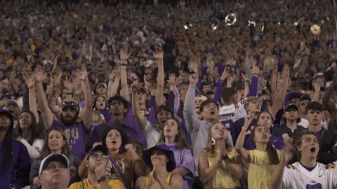College Football GIF by LSU Tigers