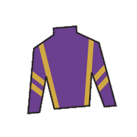 Sport Silk Sticker by Kentucky Derby