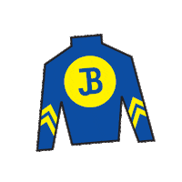 Sport Silk Sticker by Kentucky Derby