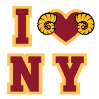 Football Basketball Sticker by Fordham University