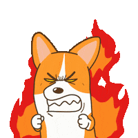 Corgi Shiba Sticker