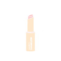 swedermpl chameleon swederm Sticker