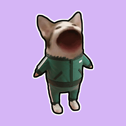 Happy Cat GIF