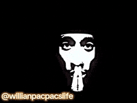 Willianpacpacslife GIF