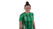 Womens Team Football Sticker by Northern Ireland