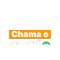 Chicao Sticker by chicaoviannaoficial