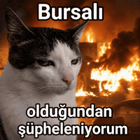Bursa Kedy GIF