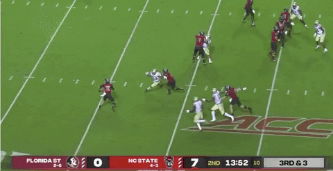 therealessad giphygifgrabber 2020 fsu ncstate GIF