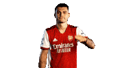 Celebrate London Sticker by Arsenal