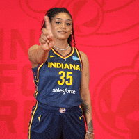 Womens Basketball Sport GIF by Indiana Fever