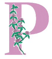 yerbaverdeflor flower flowers argentina flores Sticker