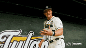 College Baseball Lee GIF by GreenWave
