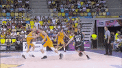 liga endesa basketball GIF by ACB