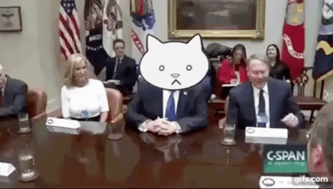 Donald Trump Cat GIF