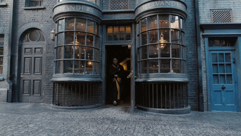 Harry Potter Magic GIF by gunnarolla