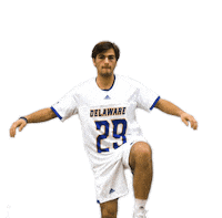 Lacrosse Bluehens Sticker by Delaware Blue Hens