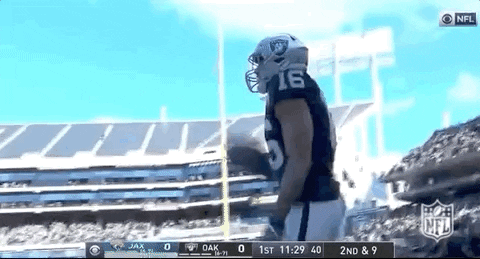Regular Season Football GIF by NFL