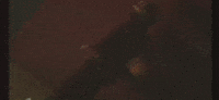 BasedXR music memories fyp emily GIF