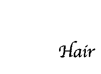jayzbe jayz jayzhair Sticker