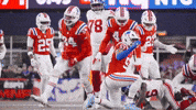 Football Nfl GIF by New England Patriots