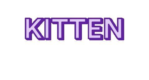 Kitten Sticker by Petco Love