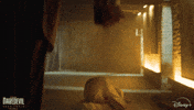 Angry Marvel Television GIF by Marvel Studios