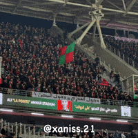 Mouloudia Virage Sud GIF