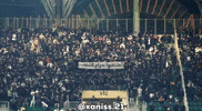 Mouloudia GIF