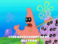 season 8 GIF by SpongeBob SquarePants