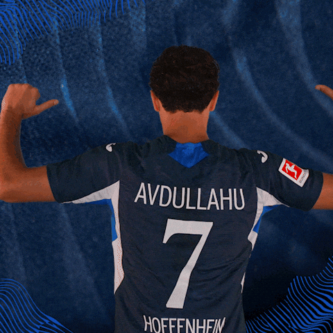 Sport Bundesliga GIF by TSG Hoffenheim