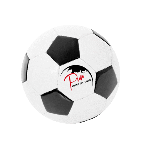 Soccer Goal Sticker by Pur Group Int.