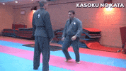 martial arts mma GIF by AKBAN Academy