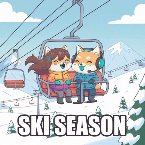 Ski Resort Party GIF by WUFFI