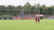 excited arturo vidal GIF by FC Bayern Munich