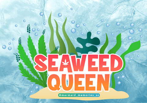 Santa Cruz Seaweed GIF by Mermaid Memories Santa Cruz